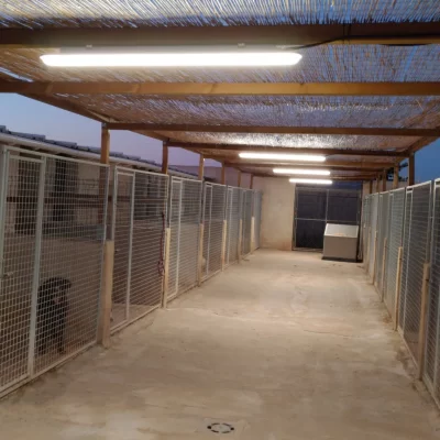 Instalaciones Residencia Canina ALAGUAU